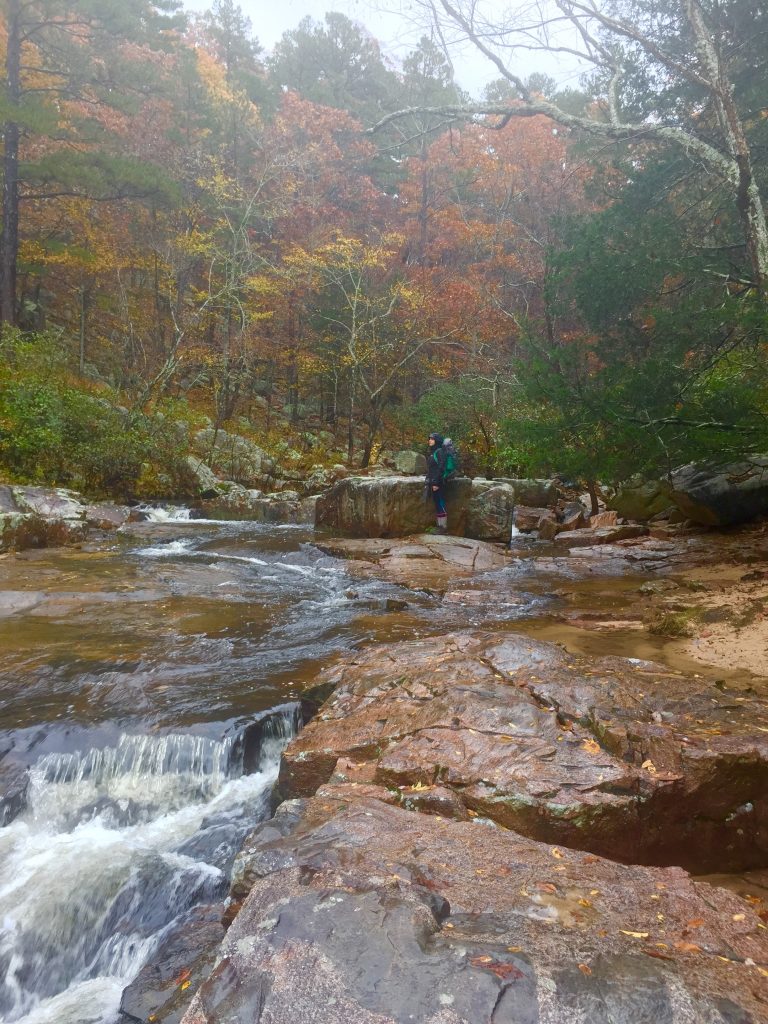 Freelance Writer and Editor